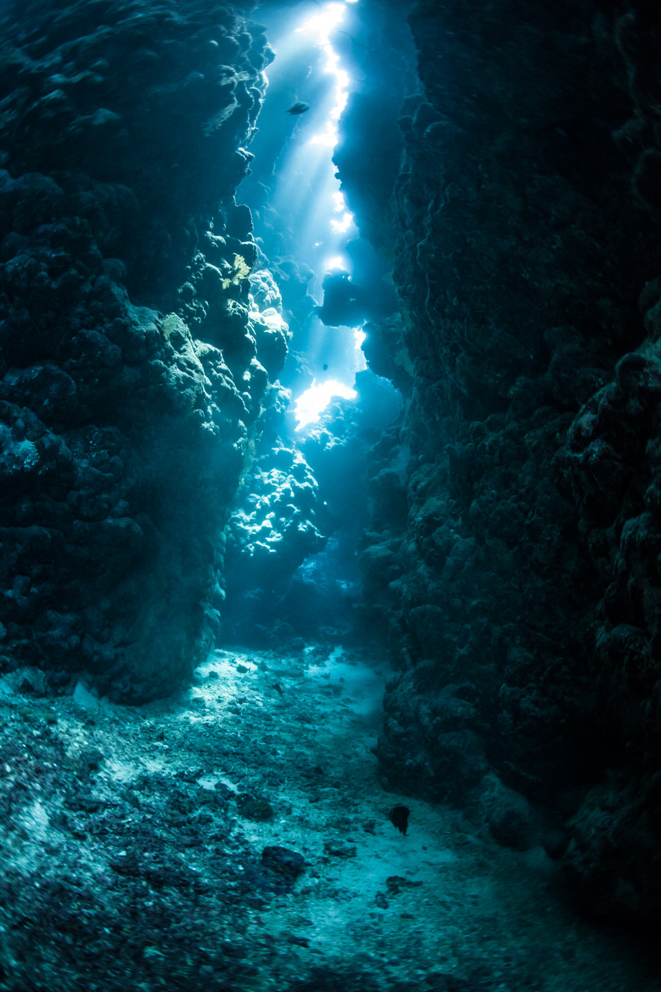 canyon | red sea
